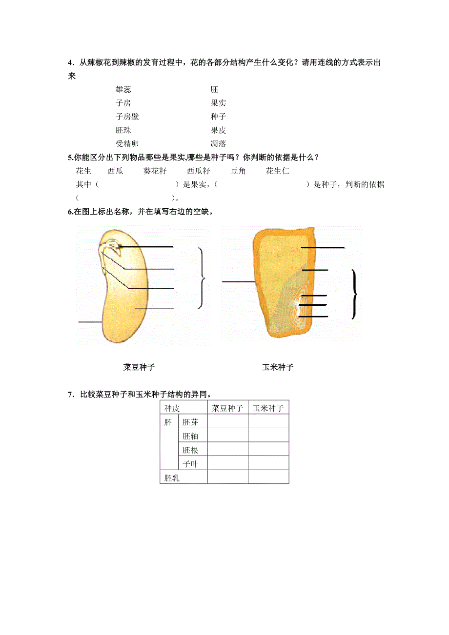 《第三节果实和种子的形成》_第2页