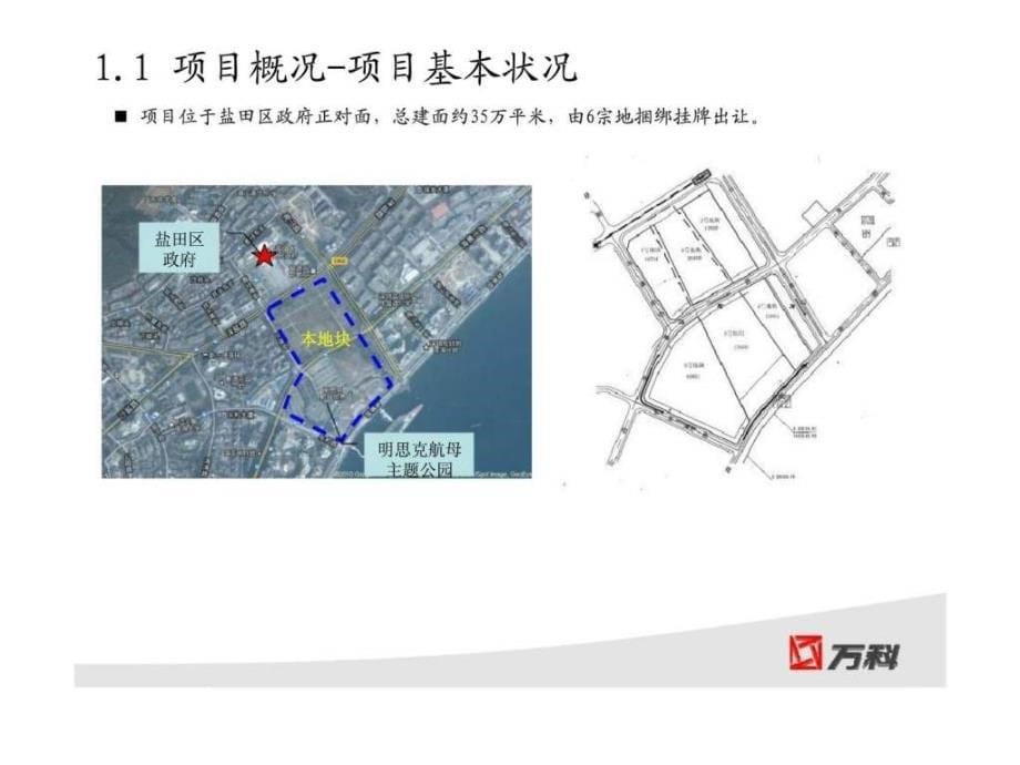 深圳盐田区沙头角中心区项目可研报告ppt课件_第5页