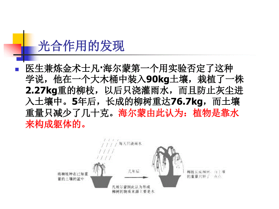 碳水化合物与生物能_第4页