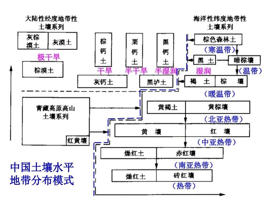 2010成都市一诊_第5页