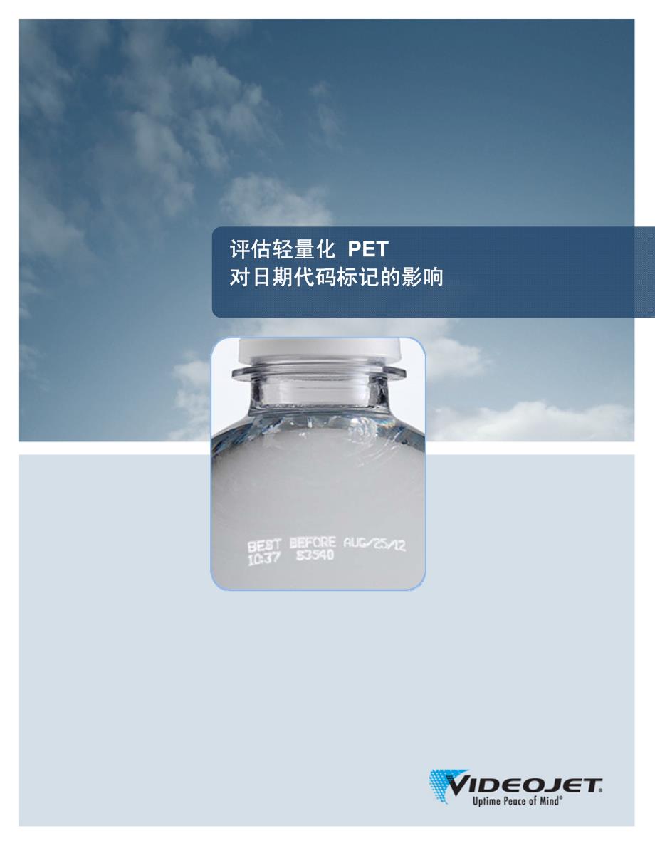 评估轻量化pet_第1页
