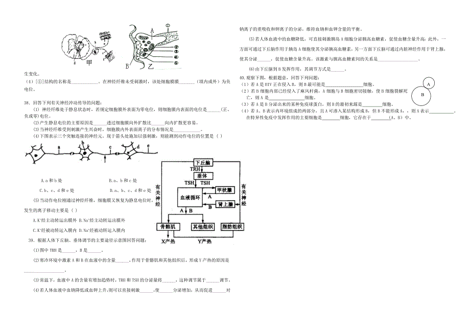 高二生物《必修3》第1—3章单元测试题.doc_上学期_第4页