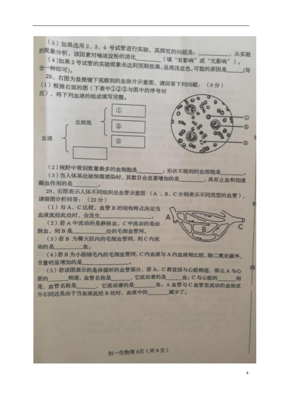 河北省秦皇岛市海港区2017-2018学年七年级生物下学期期中试题新人教版_第4页