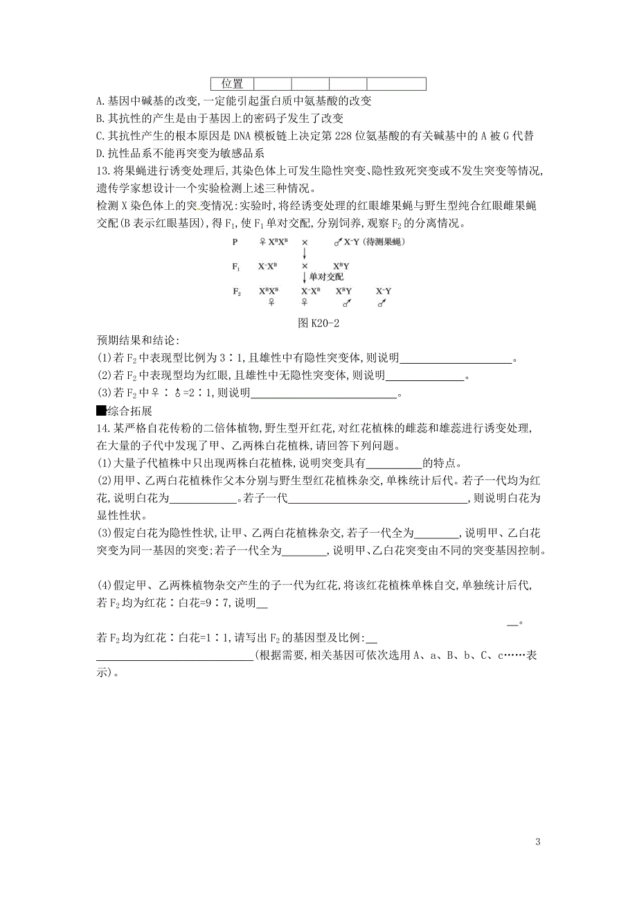 2019届高考生物总复习课时作业（二十）基因突变和基因重组_第3页