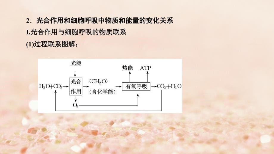 2018高考生物大二轮复习第01部分专题02生命系统的代谢整合考点05“共同担当”的光合作用与细胞呼吸课件_第5页