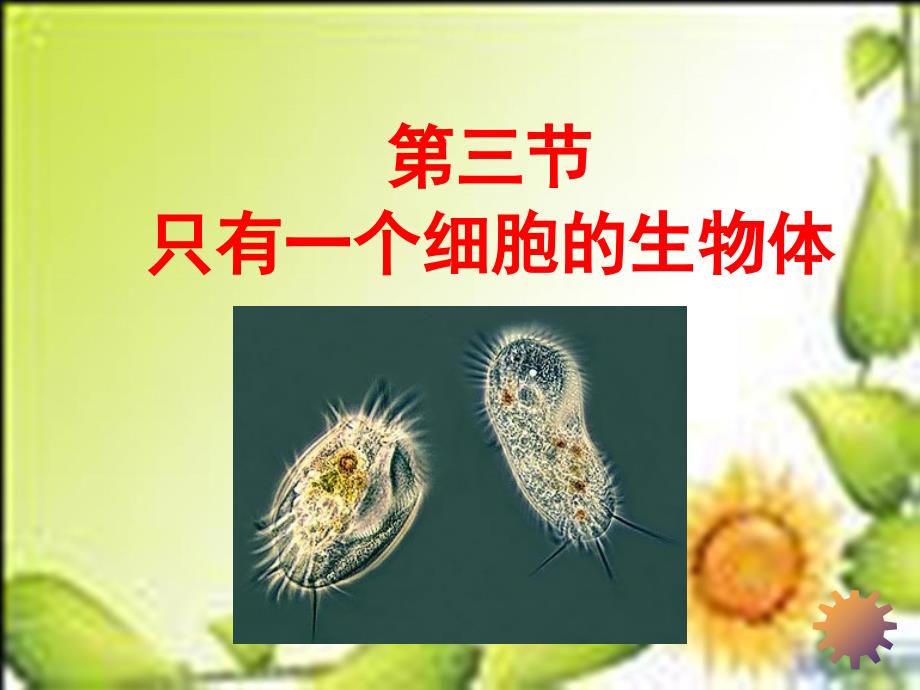 2012年生物复习专题七年级只有一个细胞的生物体课件_第1页