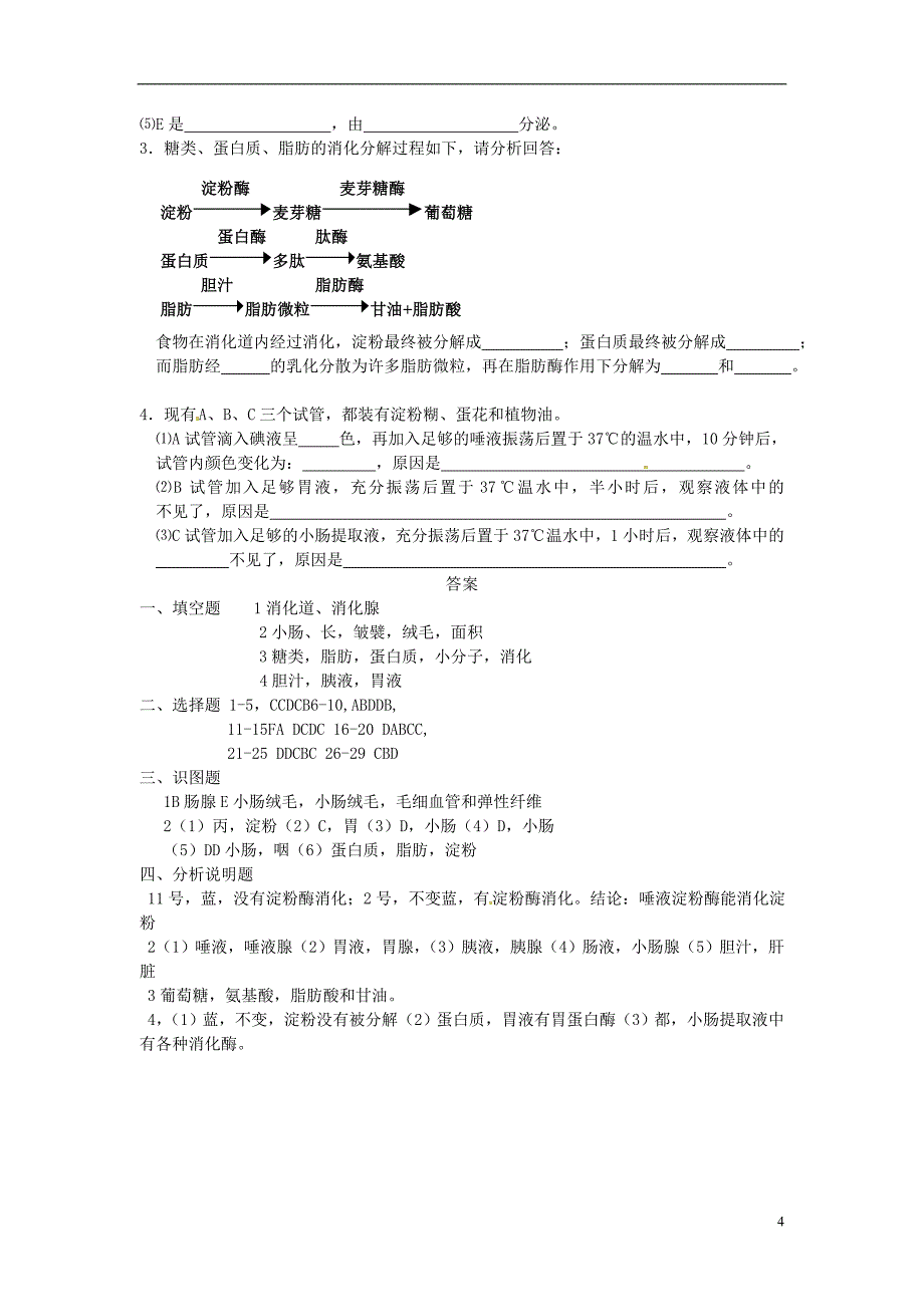 七年级生物下册第四单元第二章第二节消化和吸收课时训练1（新版）新人教版_第4页