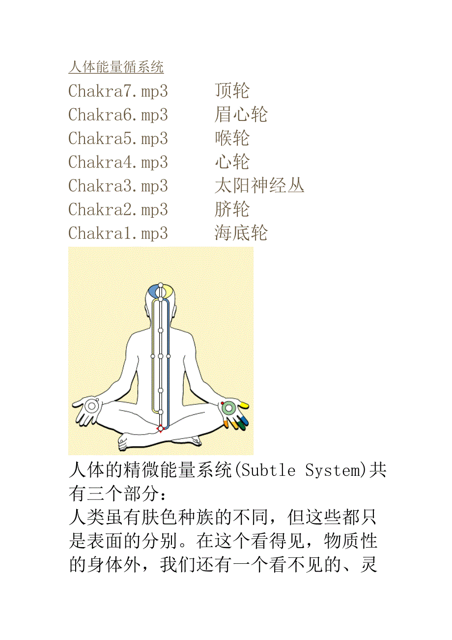 人体能量循系统_第1页