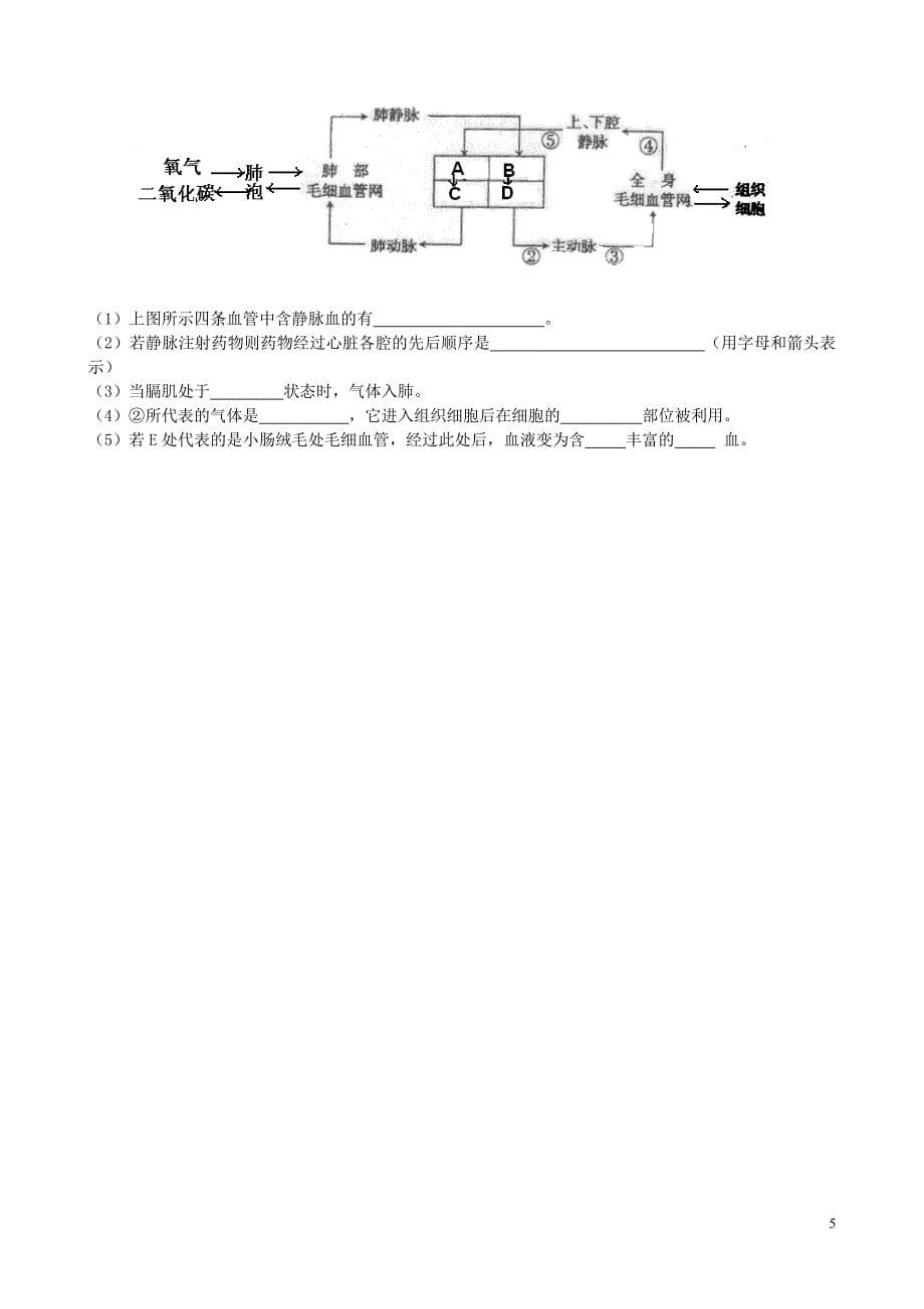 八下生物《人体物质的运输》教学案_第5页