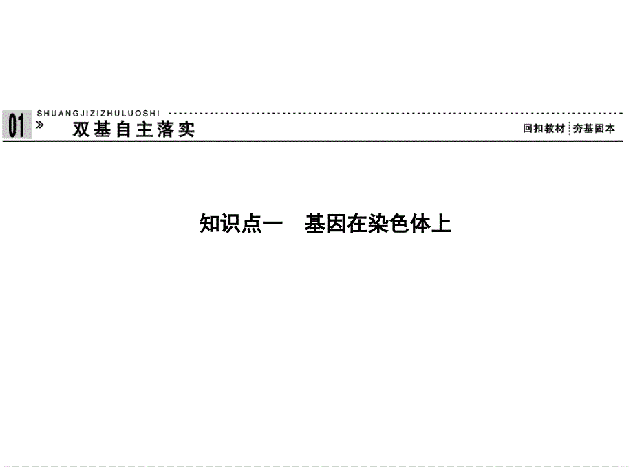 2013高三生物一轮复习课件(人教版)：2-1-4基因在染色体上伴性遗传_第2页