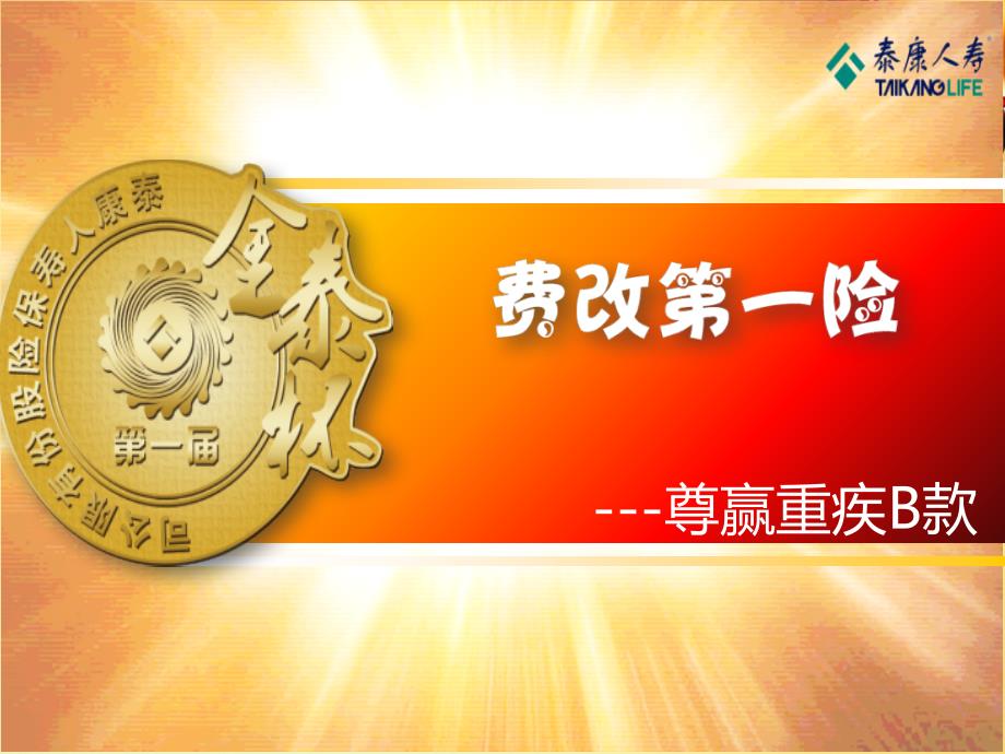 最新（重大疾病附加险）费改第一险（深圳）12_第1页
