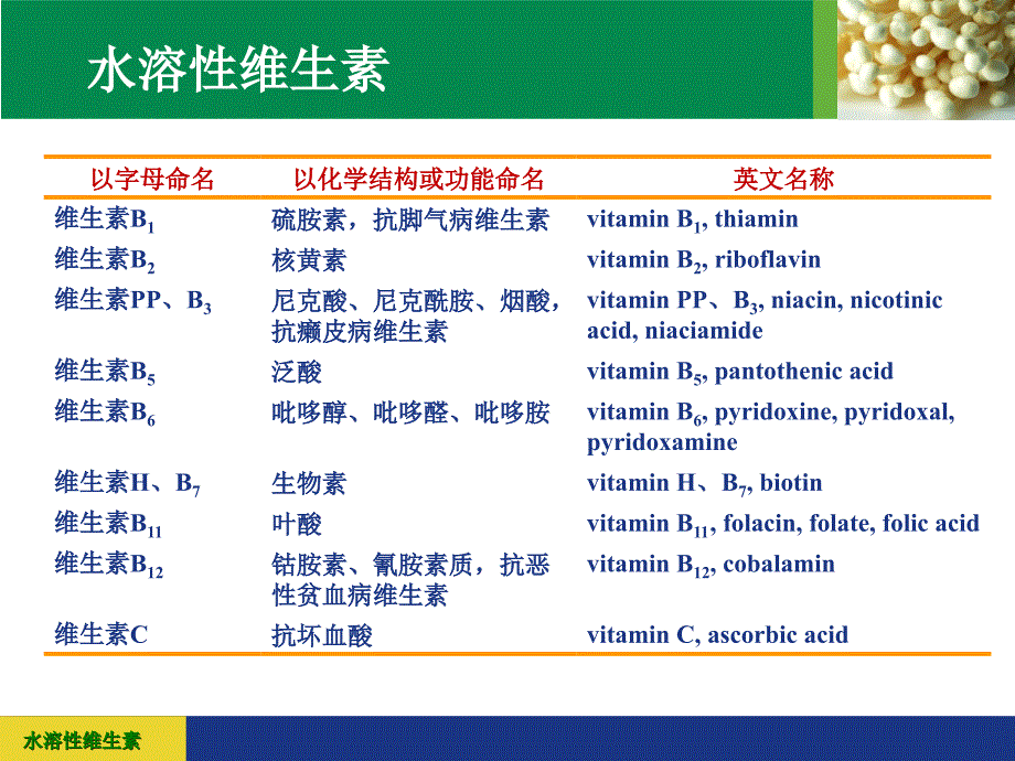 营养学基础知识(三)_第3页