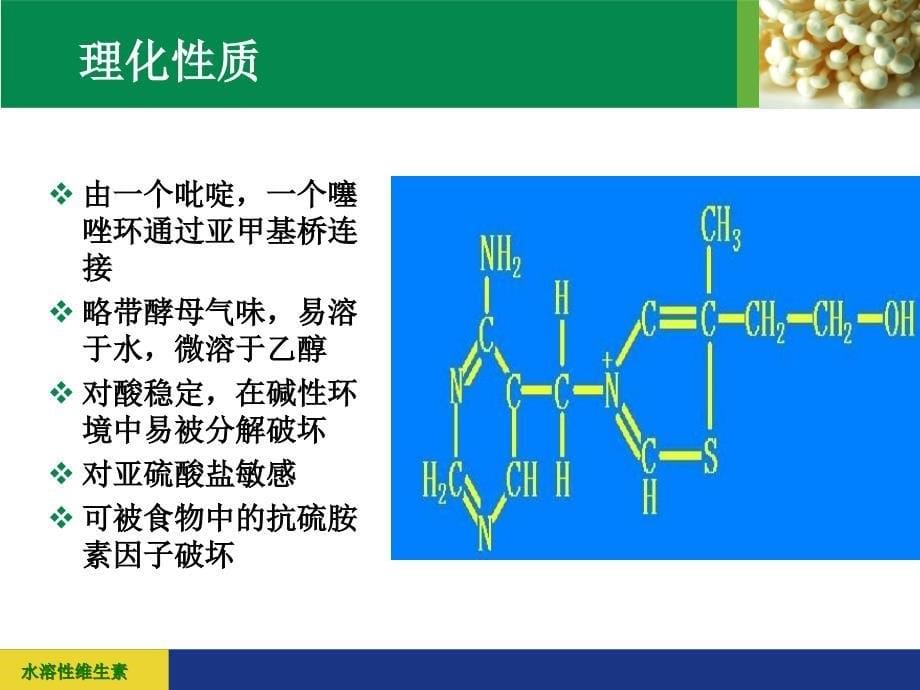 营养学基础知识(三)_第5页