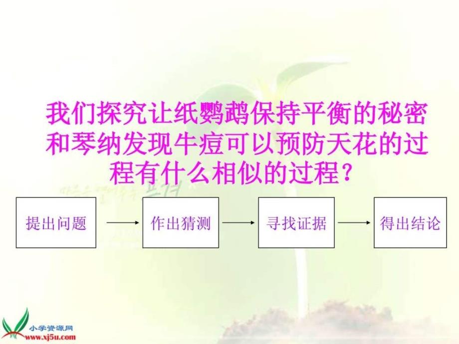 苏教版小学科学三年级上册《做一名小科学家》课件_1_第3页