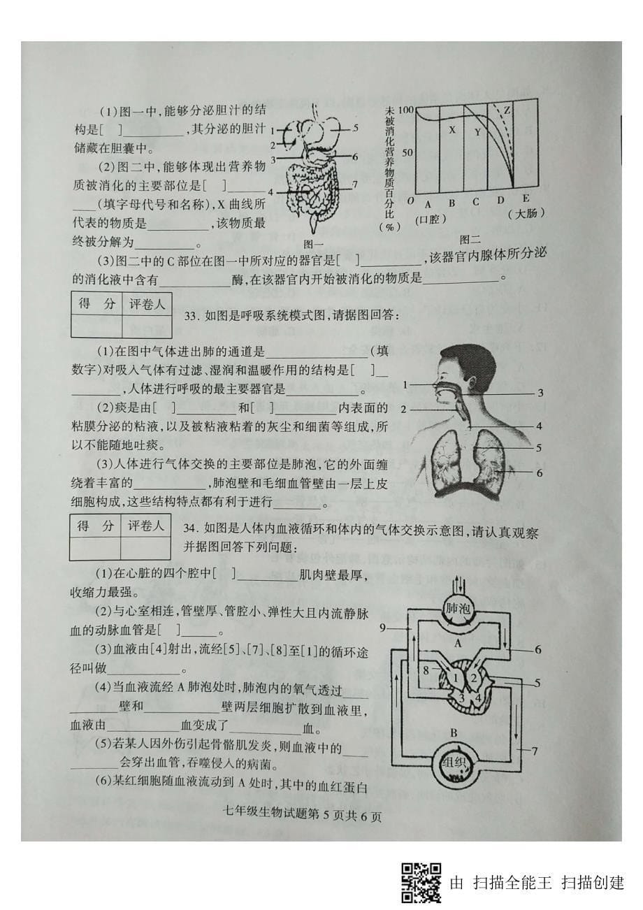 山东省临沂市费县2017-2018学年七年级生物下学期期中试题新人教版_第5页