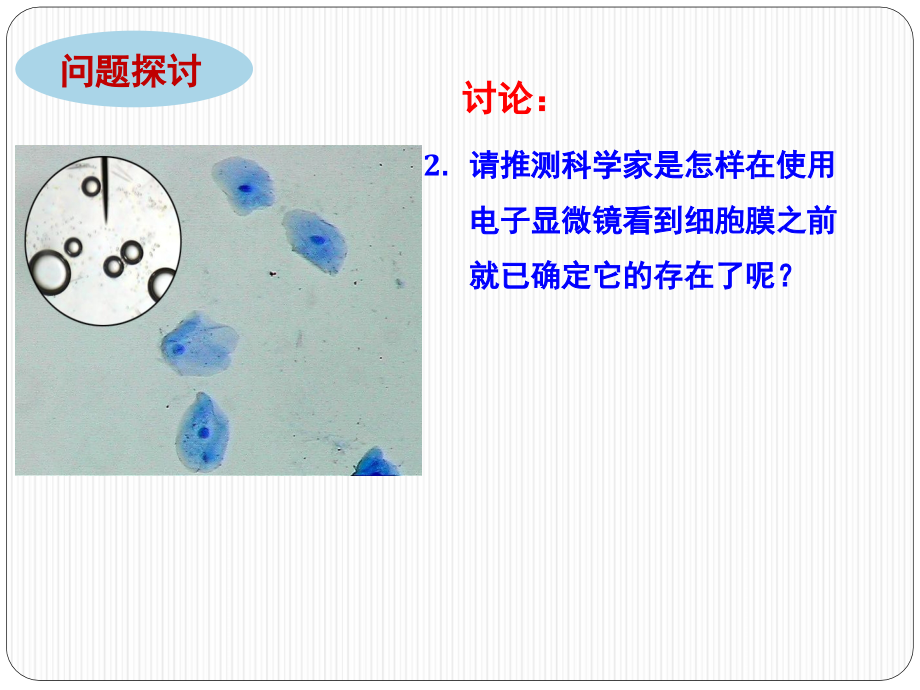 《分子与细胞》(必修1)第三章_第3页