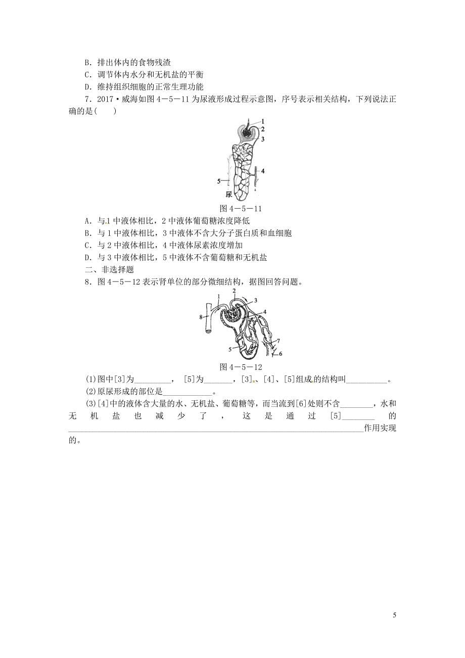 七年级生物下册第四单元第五章人体内废物的排出（第2课时尿的形成和排出）练习（新版）新人教版_第5页