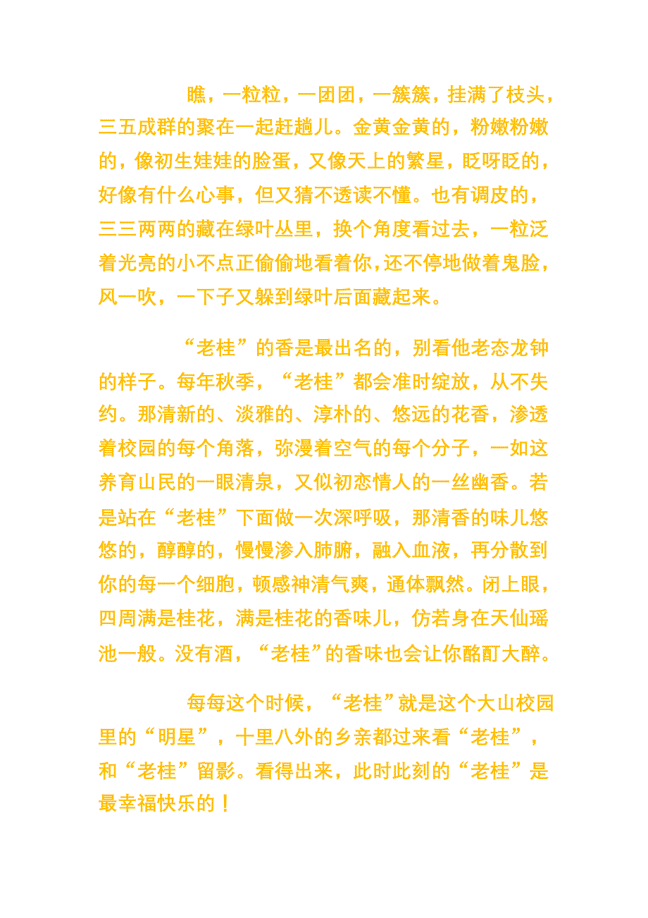 校园里的那颗老桂树文档_第2页