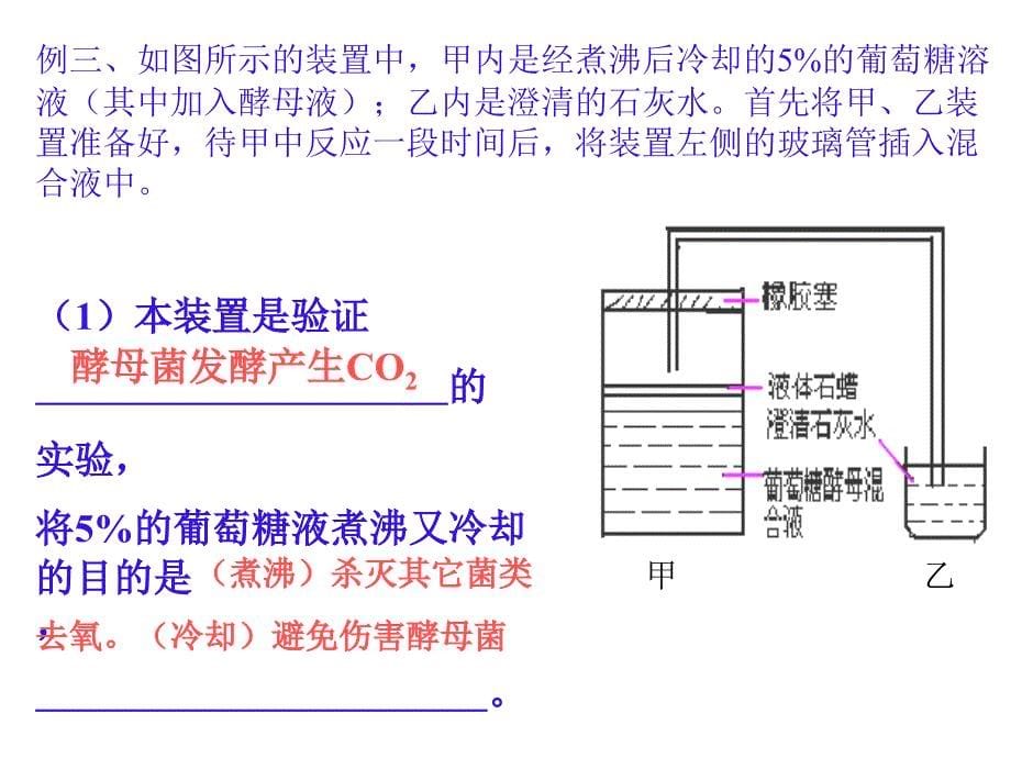 高三实验专题复习_第5页