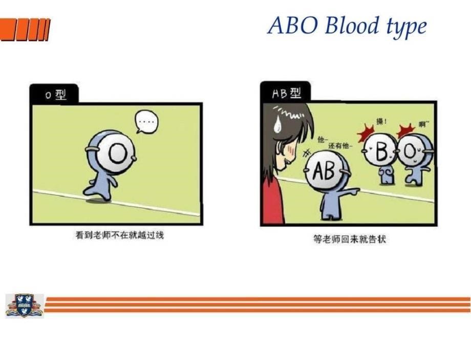 血型9月份开放性作业ppt课件_第5页