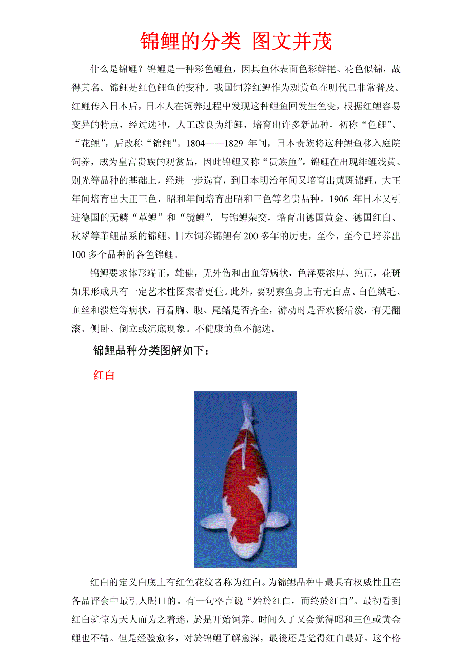 锦鲤的分类图文并茂_第1页