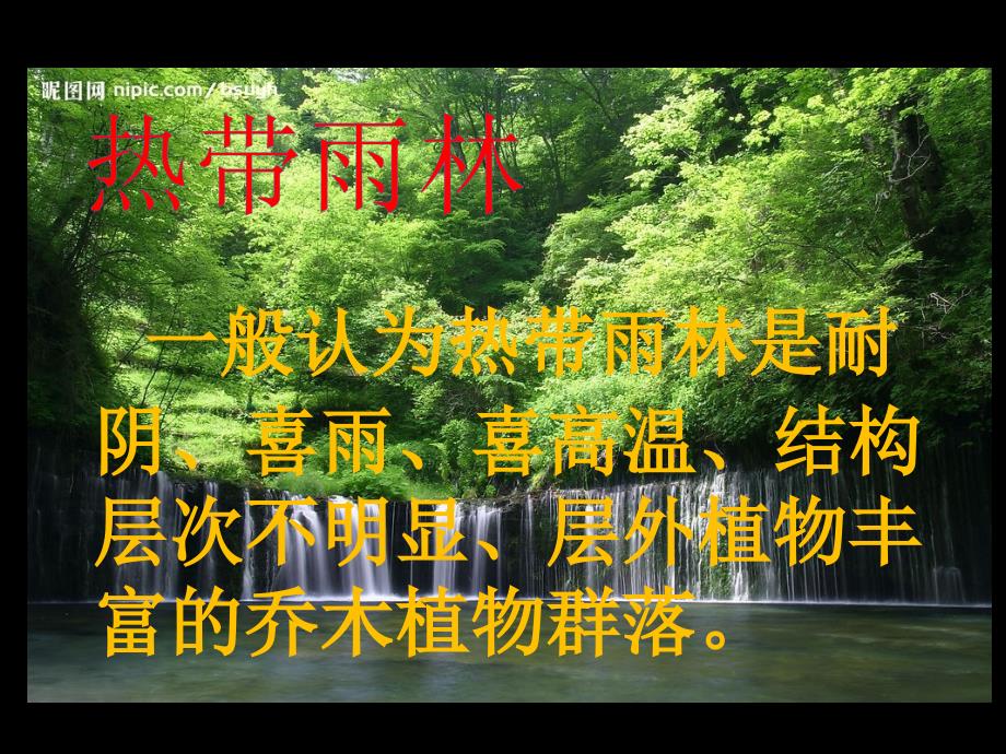 热带雨林ppt_第2页