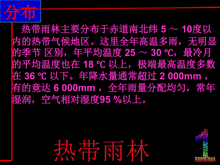 热带雨林ppt_第4页