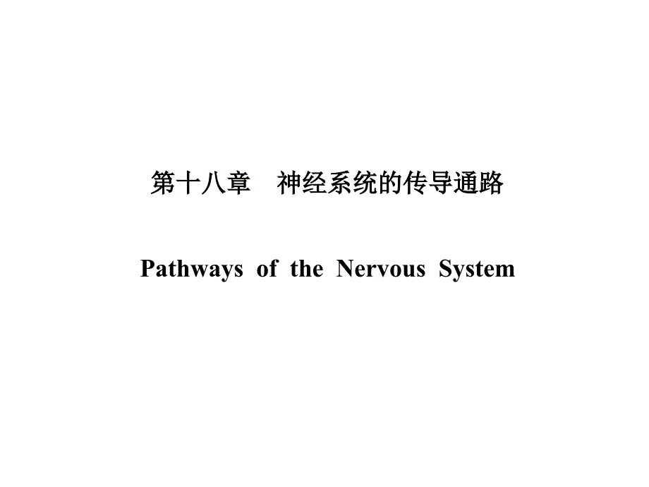 第三节神经系统的传导通路pathwaysofthenervoussystem_第1页