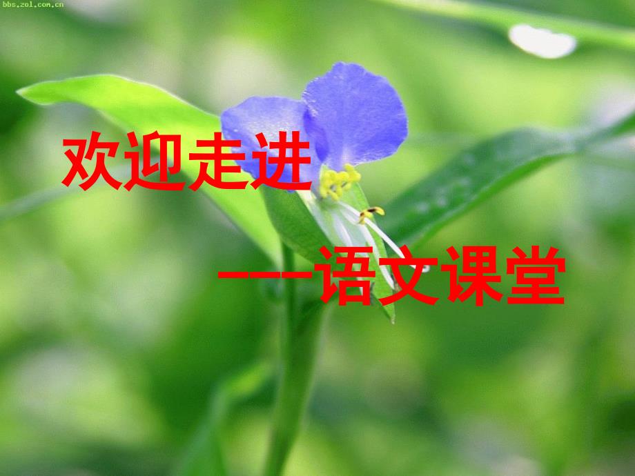 给各位星座的谏言_第1页