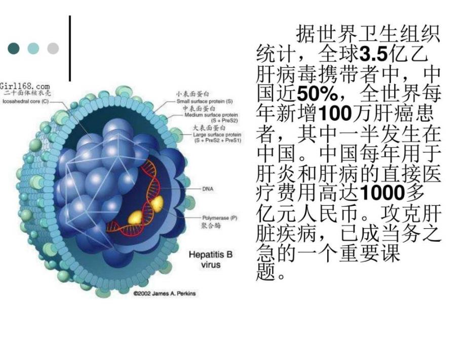 高中生物人教版选修3专题1第4节蛋白质工程的崛起ppt课件_第4页