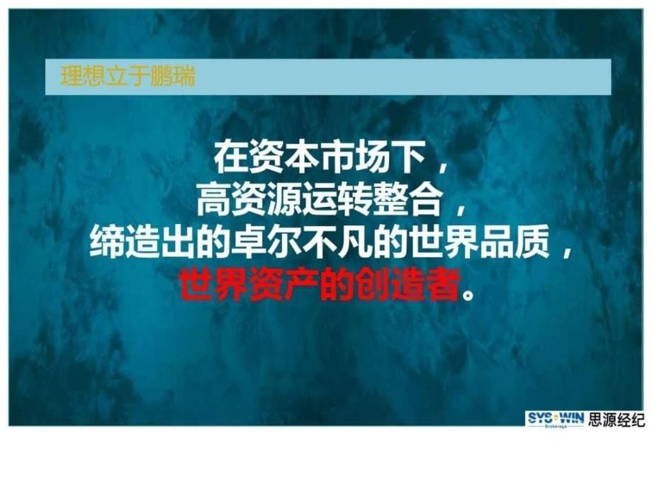 2012思源深湾一号营销执行ppt课件_第5页