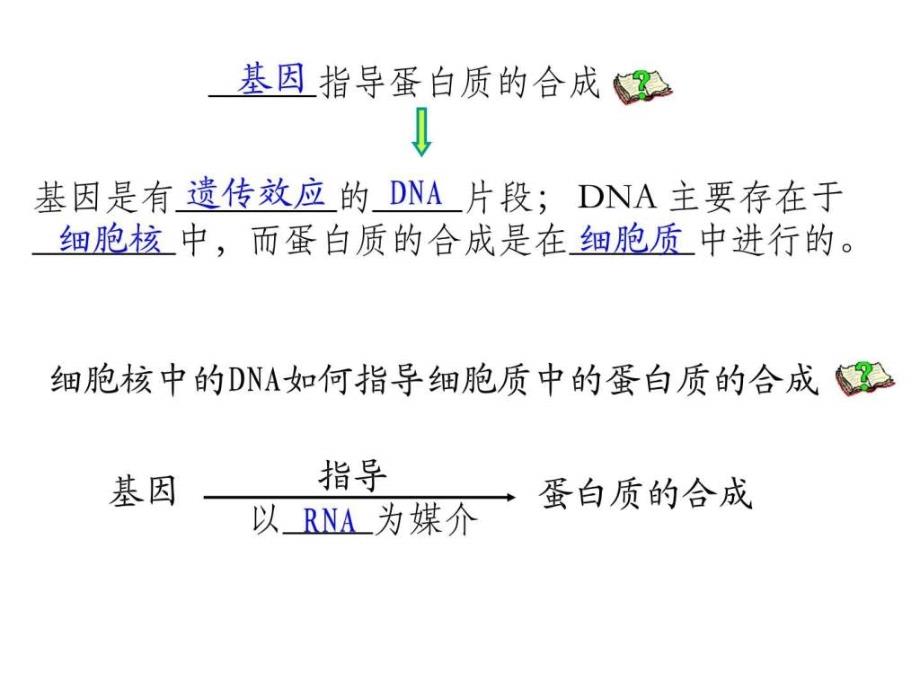 （绝世好件）基因指导蛋白质的合成基因的表达复习课件_第4页
