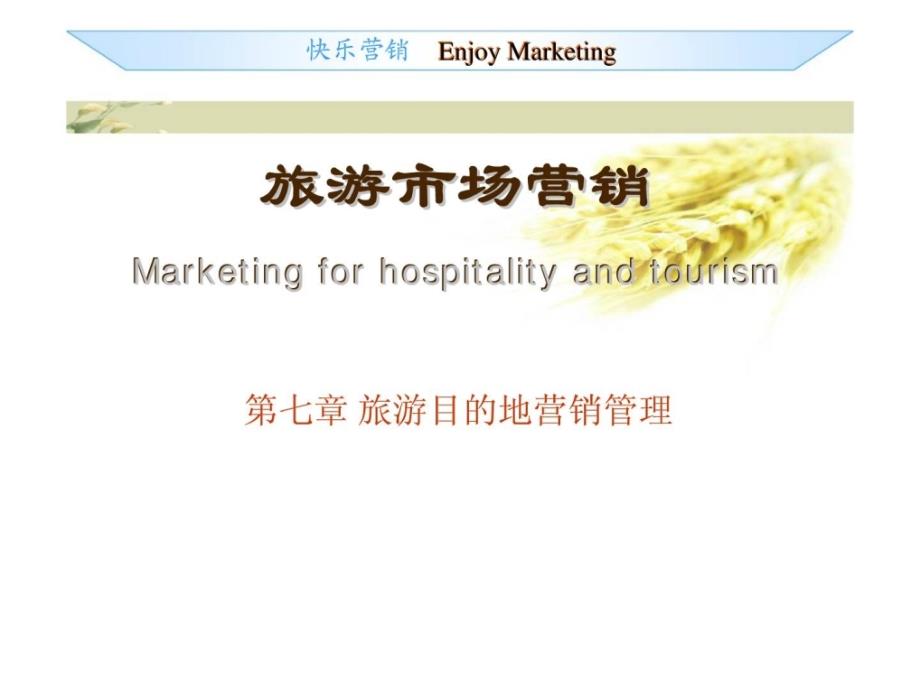 marketing07旅游目的地营销管理_第1页