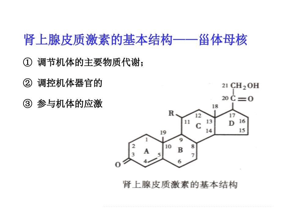 第35章肾上腺皮质激素类药物课件_第5页