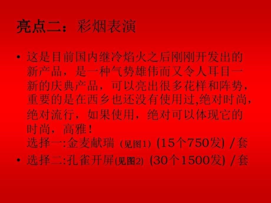 西乡摩托车拉力赛开幕仪式策划_第5页