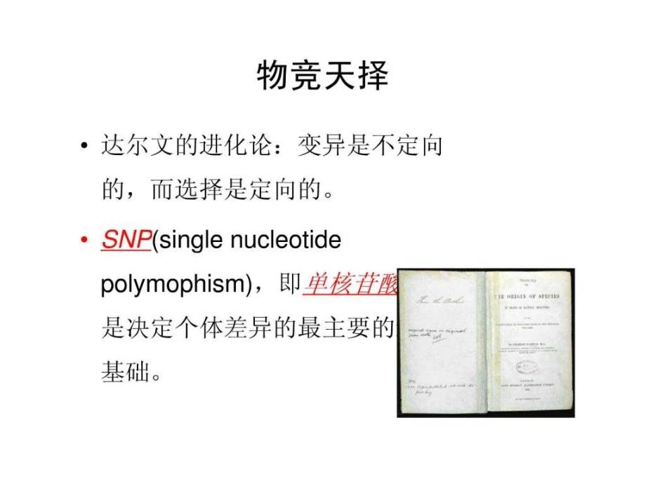 对波利维临床用药的影响ppt课件_第4页