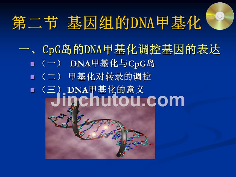 计算表观遗传学_哈医大《生物信息学基础》课件_第3页