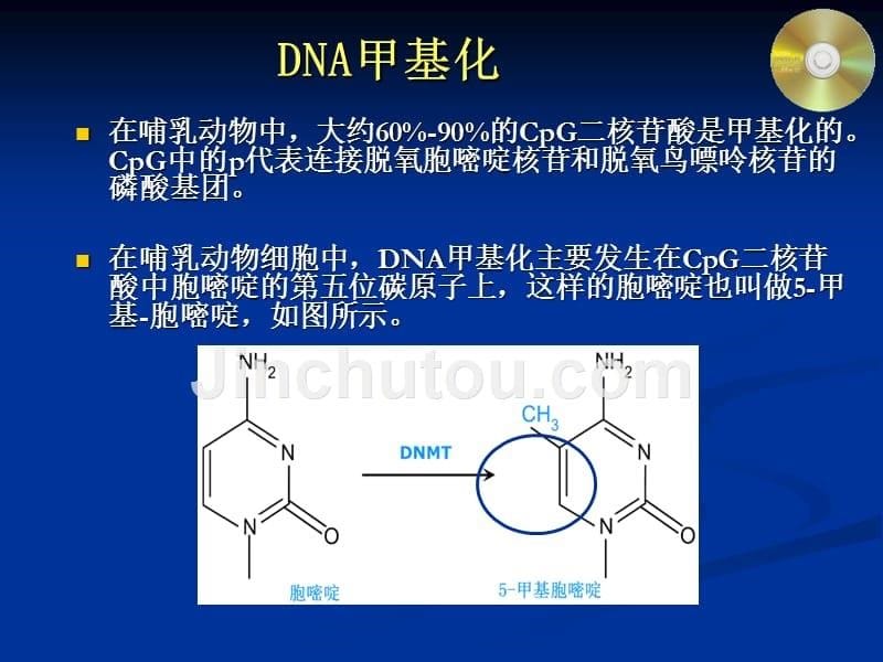 计算表观遗传学_哈医大《生物信息学基础》课件_第5页