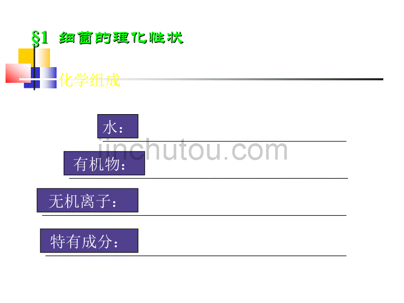 第2章细菌的生理37页_第2页