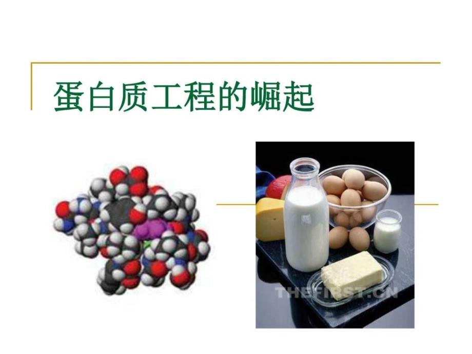 蛋白质工程的崛起课件图文_第2页