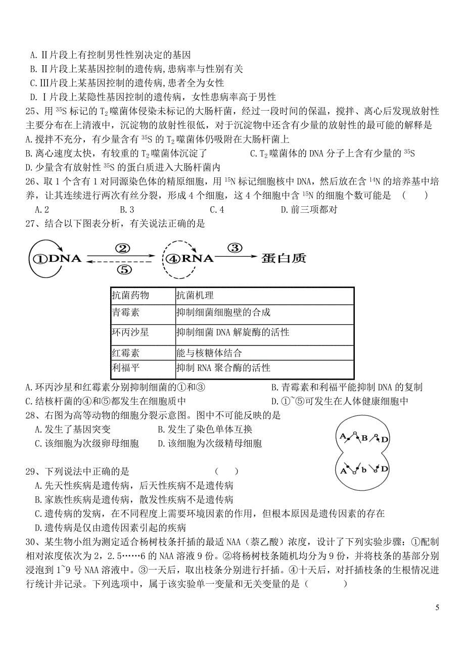 荥阳二高2010年质测模拟考试题_第5页