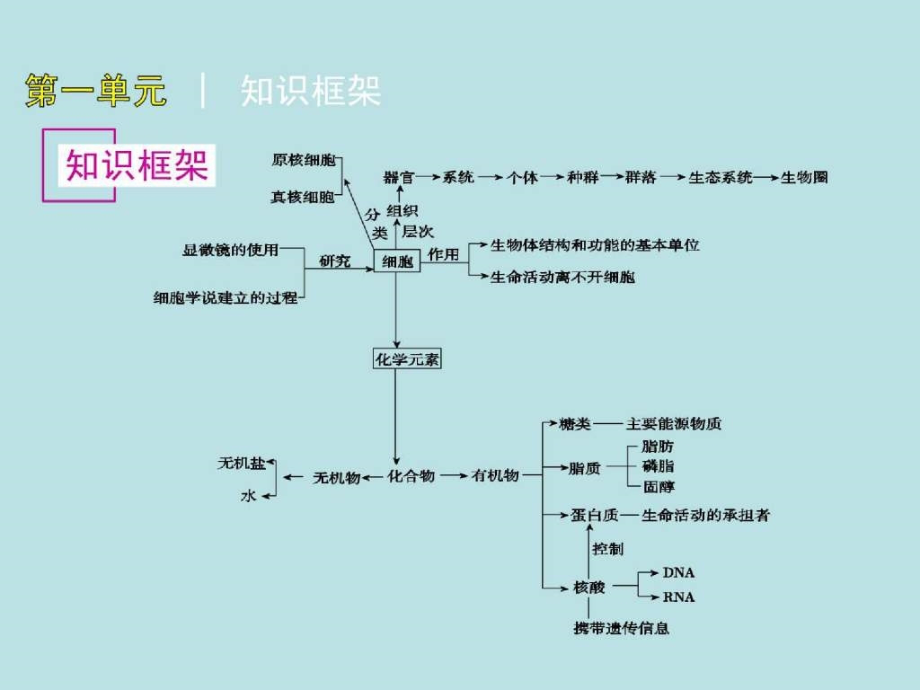 2011年高考生物（浙科版）第一轮复习精品课件第1单元细胞的分子组成_第3页