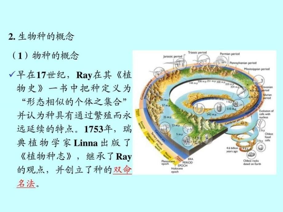 海洋生物与环境（12）ppt课件_第5页