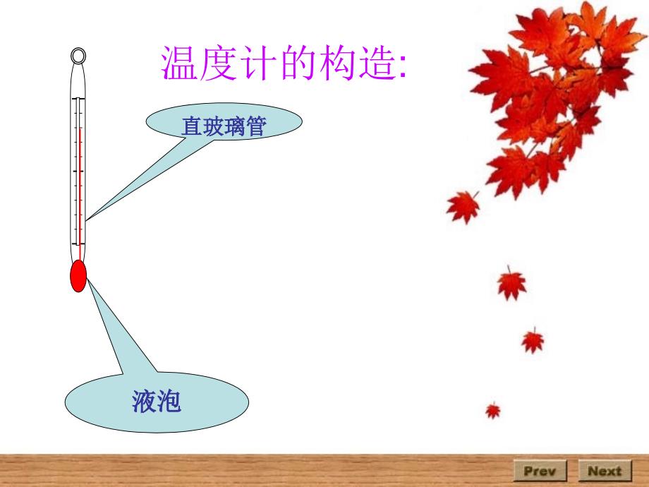 八年级物理温度计1_第4页