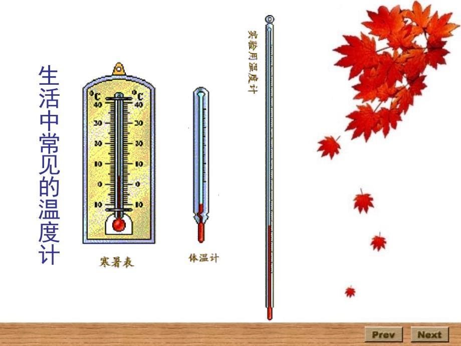 八年级物理温度计1_第5页