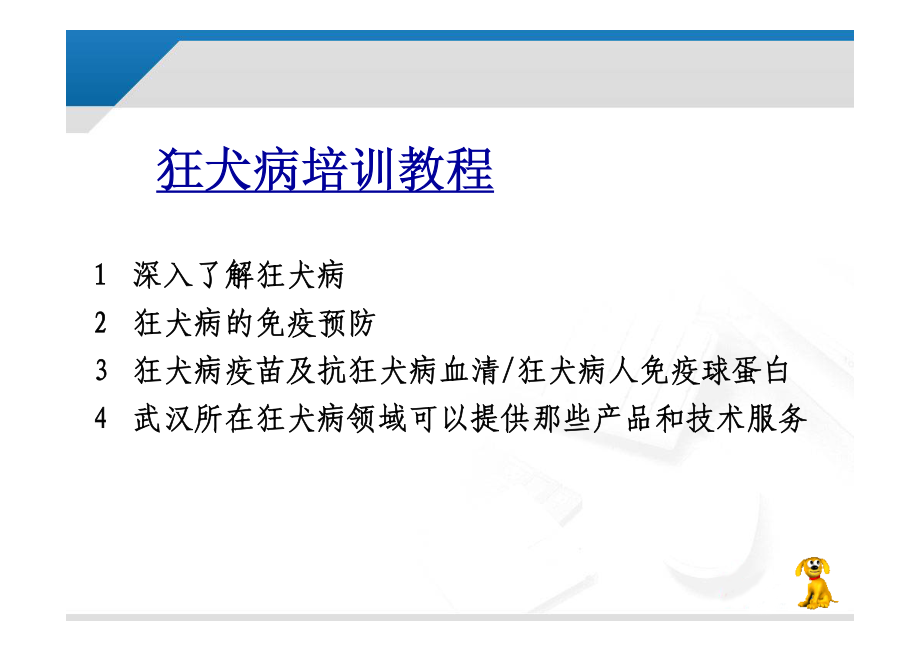 狂犬病预防孟胜利_第3页