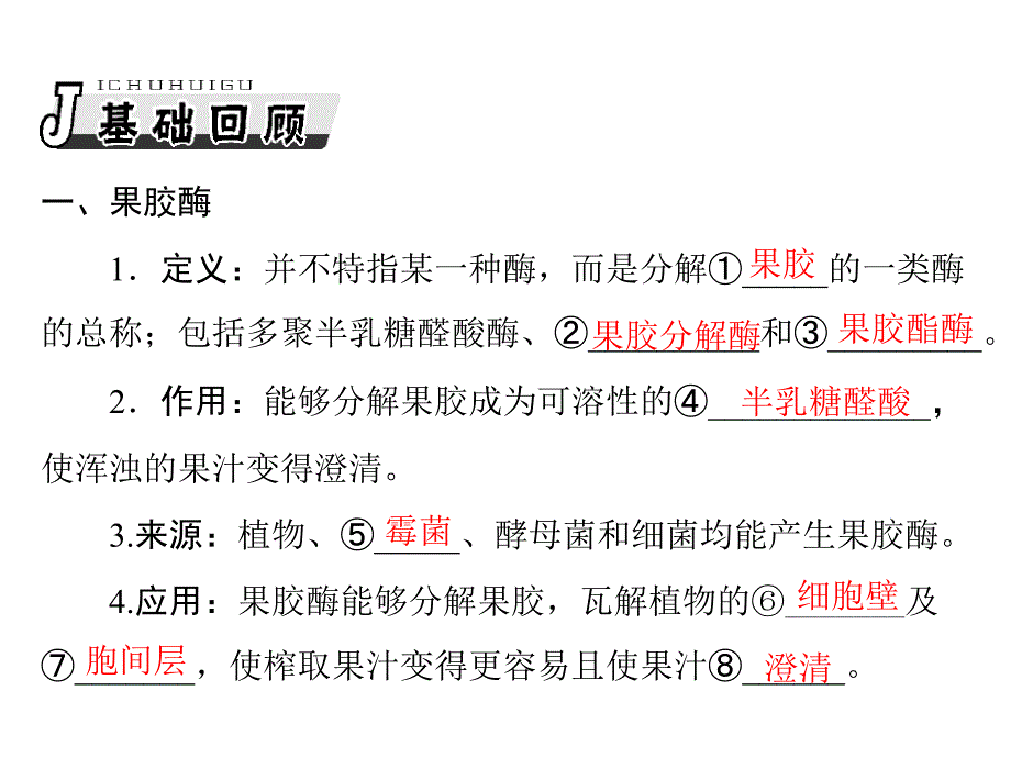 生物2013年高考复习课件：选修1专题4酶的研究与应用_第2页