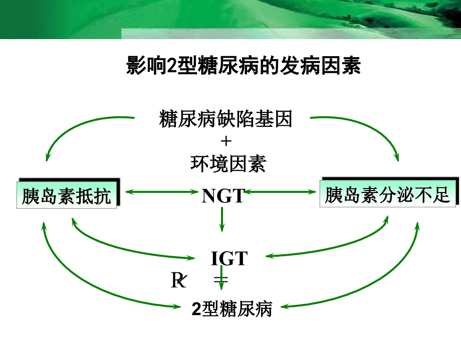 病理生理进展(nxpowerlite)_第3页