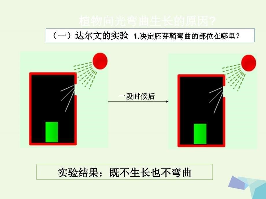 湖南省长沙市高中生物第三章植物的激素调节3.1生长素的发现课件新人教版必修3_第5页
