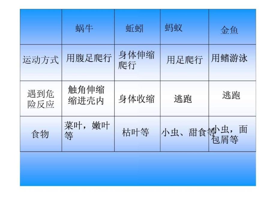 动物有哪些共同特点ppt三年级其它课程其它课程小学ppt课件_第3页